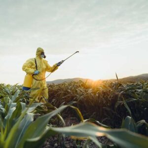 The Organic Farming Movement Image